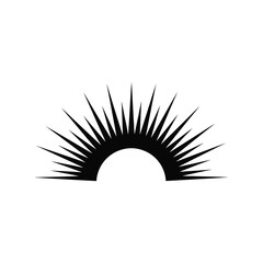 Abstract sunburst silhouette