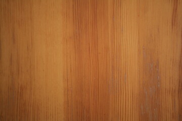 Obraz premium Collection of high-quality wooden textures and backgrounds. Various natural wood surfaces with different colors, grains, and plank patterns — perfect for design, interior mockups, flooring, or backgro