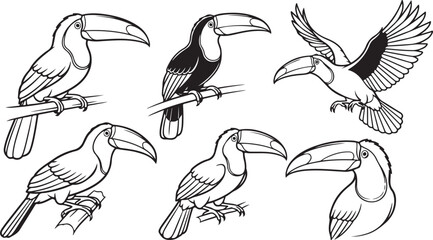 collection of birds