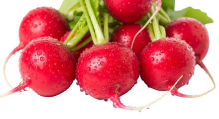 Fresh radishes with green tops isolated on transparent background