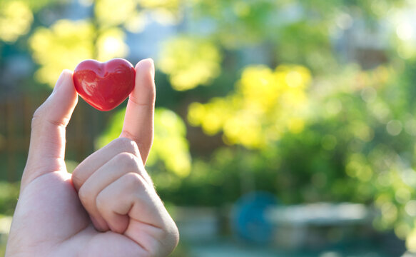 Regular check-ups, a balanced diet, daily exercise, and stress management can prevent heart disease. Know your blood pressure, cholesterol, and quit smoking. Your heart deserves attention&mdash;act now!