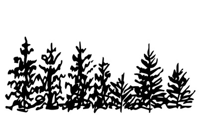 Simple vector illustration. Black silhouette of coniferous trees on a white background. Pines, firs, northern plants. Nature and vegetation.