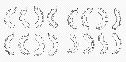 Tamarind pods in various shapes and forms, hand-drawn outline illustrations on a transparent background.