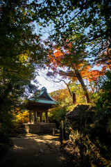 逗子251126　神武寺19　鐘楼＆紅葉