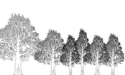 Fototapeta premium Trees silhouette isolated on white background and beautiful view