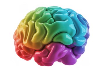 Colorful glossy human brain with rainbow gradient on black background isolated on a transparent background