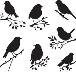Set of black birds silhouettes on the branches sitting 