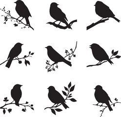 Set of black birds silhouettes on the branches sitting 