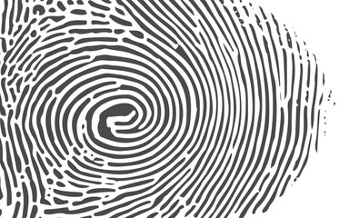 Abstract Fingerprint Pattern Texture, Black and White Forensic Print Background for Posters, Banners, and Digital Creative Projects.