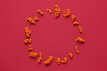 Frame made of ripe rowan berries on red background