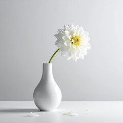 Single White Dahlia in a White Vase with Minimalist Style Elegant Floral Arrangement Still Life with One Flower in Bloom Against a Neutral Background Delicate Interior Decor Idea