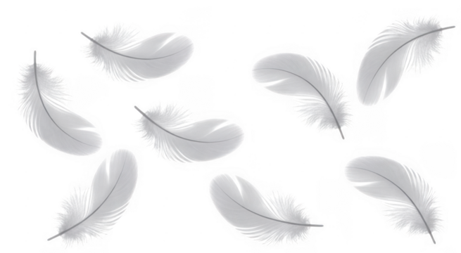 Eight white feathers floating against a black background isolated on a transparent background