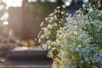 Elegant and luminous floral arrangement with gypsophila in the foreground for a commemorative event.