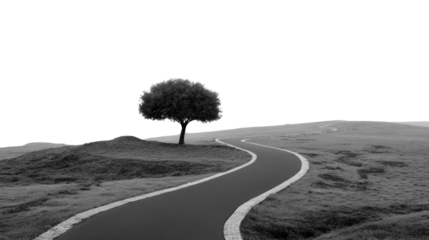 Road to Solitude: A serene black and white view unveils a winding road leading towards a solitary tree on a gentle hill, evoking a sense of peaceful journey. 