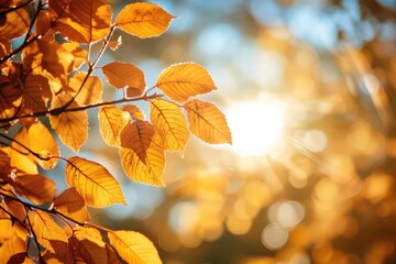 A vibrant autumn scene with a tree adorned with golden leaves, set against a backdrop of a clear blue sky and a distant mountain range.