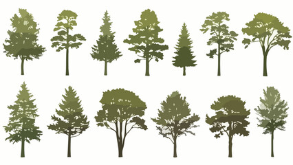 Diverse Silhouette Set of Trees Spruce, Pine, and Oak Varieties in Various Forms