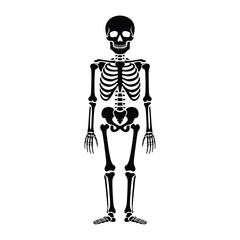 A black skeleton stands, showcasing the human skeletal system with its skull, ribcage, spine, and limbs in anatomical detail