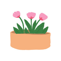 Hand drawn pink tulip flowers in a pot vector isolated on white background
