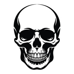 Fototapeta premium A striking black and white illustration of a human skull, , showcasing its intricate details and anatomical structure in a minimalist style