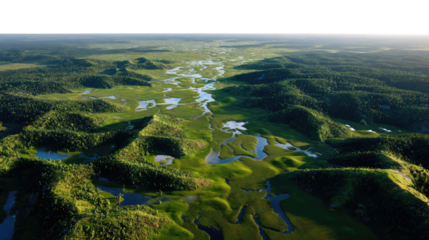 Aerial Green Oasis: A stunning aerial view captures a vast expanse of lush greenery, where winding rivers meander through a verdant landscape, showcasing the natural beauty.