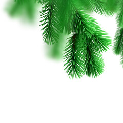 Obraz premium Vibrant green pine boughs offer a touch of nature's beauty, perfect for holiday designs, rustic invitations, and festive winter promotions with transparent ease