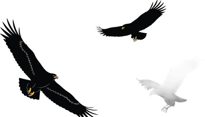 Adobe Illustrator Artwork