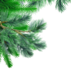 Obraz premium Festive evergreen branches frame your design with holiday cheer, adding a touch of natural elegance for Christmas and winter projects, invitations and cards