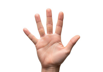 Open human palm with fingers spread, isolated on transparent background