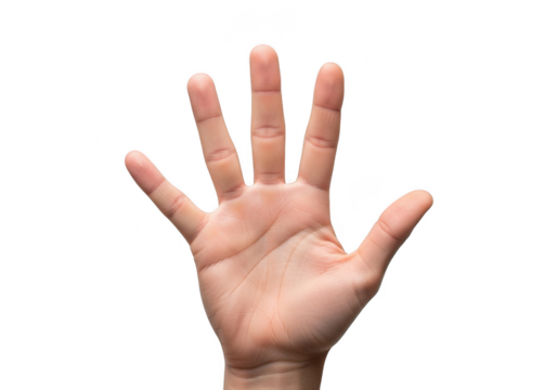 Open human palm with fingers spread, isolated on transparent background
