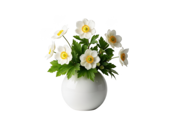 White anemone flowers in a spherical vase isolated on transparent background