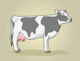 female cows retro vector illustration. female cattle vintage vector graphic design