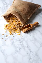 Grains and corn spilling from a burlap sack with a wooden scoop on marble surface