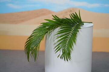 Palm leaf on white cylinder with desert background for product photography setting up scene