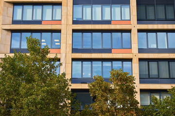 Fototapeta premium Facade of modern office building with large windows and trees in front. Concept of urban architecture and contemporary workplace