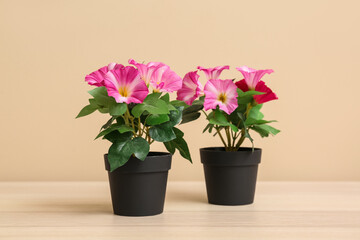 Pink artificial flowers on table near beige wall