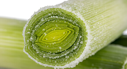 Close-up of a Frozen Leeks Cross-Section with Ice Crystals