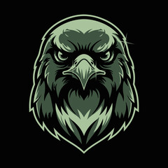 Fototapeta premium Fierce and detailed digital illustration of an eagle head with intense gaze