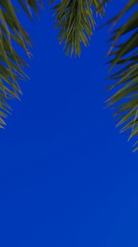 Vertical 4k animation of palm leaves framing a vibrant bluescreen background with realistic 3d render elements for versatile tropical or nature-themed projects.