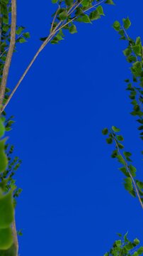 Vertical 4K animation of green tree branches with leaves against a vivid bluescreen background, ideal for nature scenes or 3D render compositions.