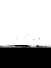 Ocean Wave and Birds in Minimalist Black and White