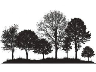 Silhouette of Diverse Trees and Grass on White Background