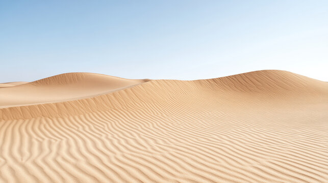 Golden desert dune sand dune rippled sand warm sunlight clear sky