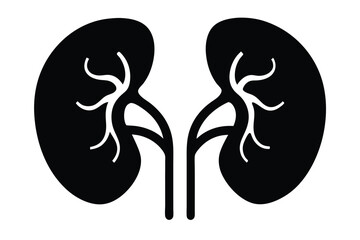 Anatomical kidneys show black and white color with artery veins detailed diagram