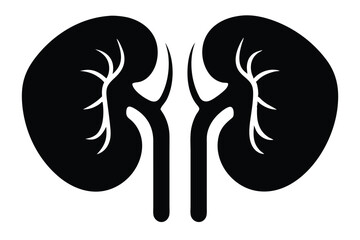 Two kidneys are displayed in black against a plain white backdrop illustration