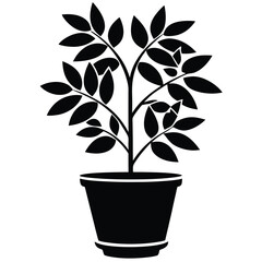 Black leafy plant in a pot displays simplistic beauty on a white background