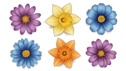 Colorful Flower Collection Vibrant Spring Blooms in Watercolor Style