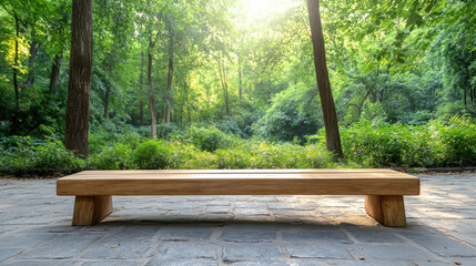 Wooden bench in sunlit forest clearing with lush green foliage