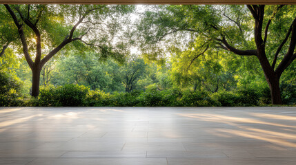 Sunlit wooden terrace with tree canopy and green foliage creating calm morning atmosphere