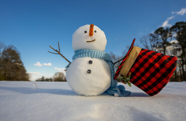Winter snowman decoration. Snowman on snowy field. Funny winter snowman scene. Cute snowman. Winter...