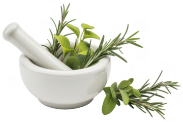 White ceramic mortar and pestle with fresh green herbs and rosemary sprigs isolated on a transparent background